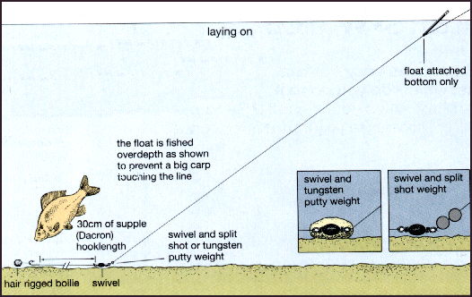 fishing knots and rigs. carp fishing rigs