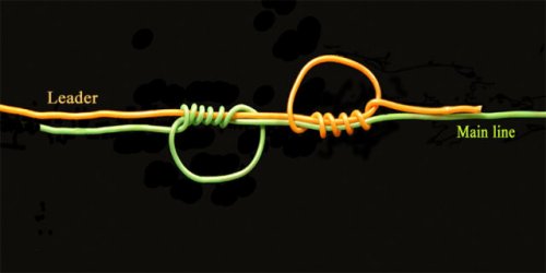 The Best Shock Leader Knot for Sea Fishing