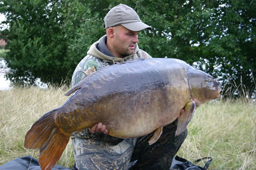 common carp facts. Carpfishing UK - Carp facts