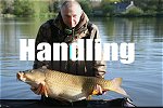 Handling Big Carp